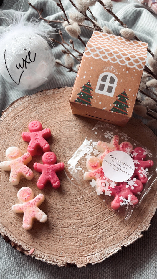 Christmas Cranberry Gingerbread House