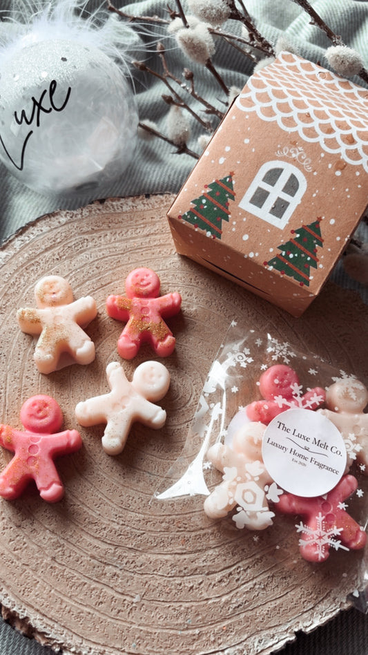 Winter Cherry & Ginger Frosting Gingerbread House