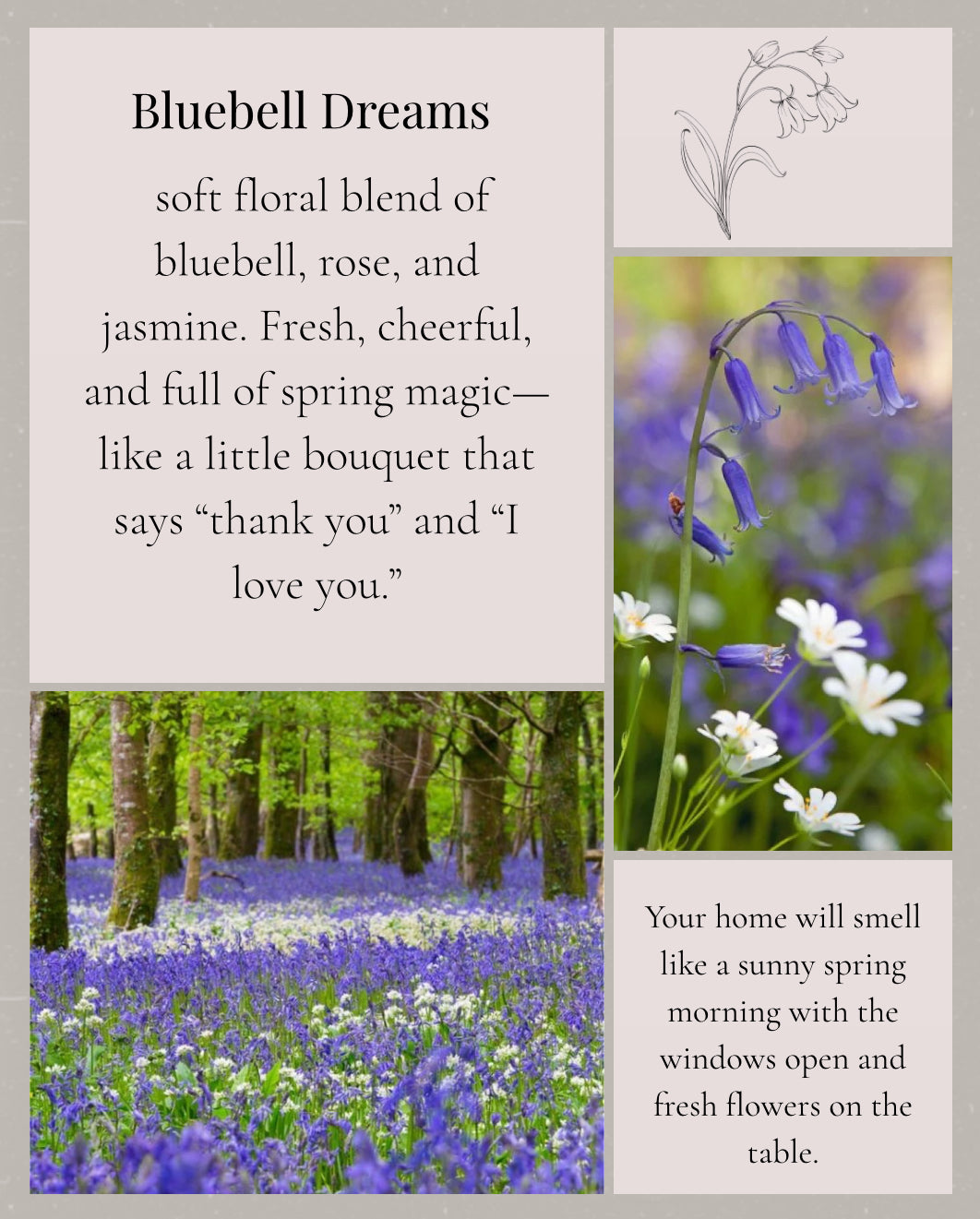 Bluebells Dreams Honeycomb Wax Melts
