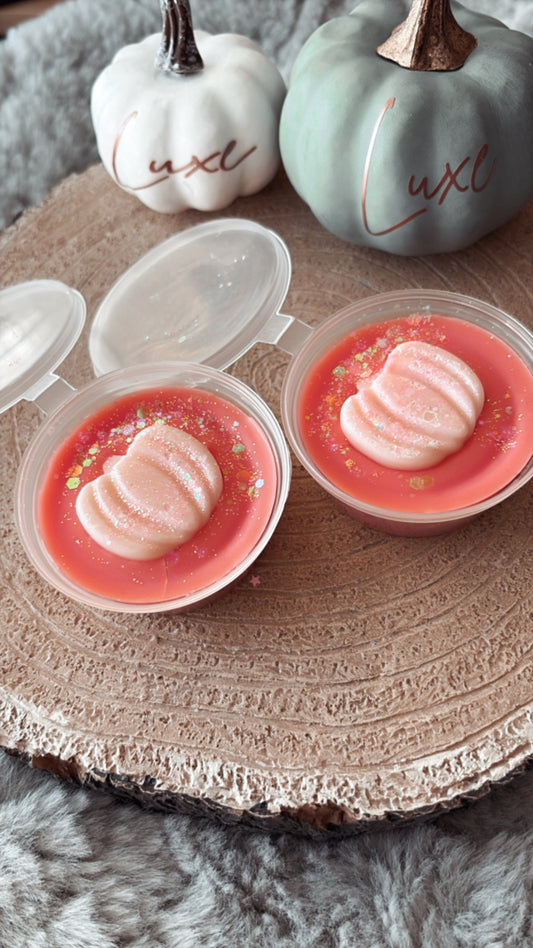 Cranberry Pumpkin Spice Wax Melt Pot