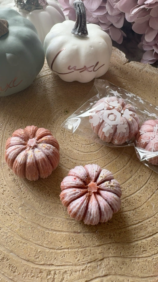 Caramelised Pecan Whole Pumpkins